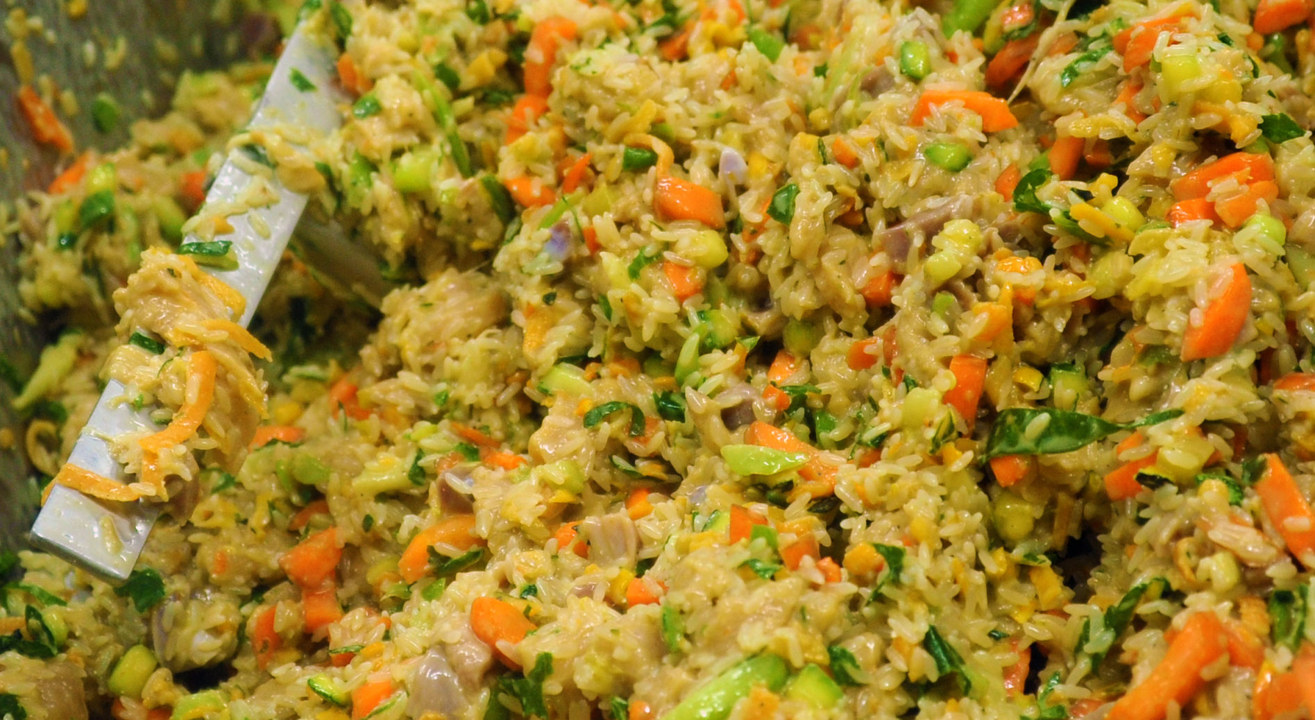 CARNE BRAWNBROW Comida Natural Ração Úmi ...